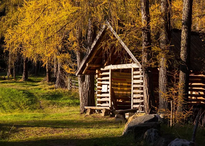 Appartement Haus Ruth *